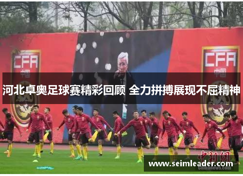 河北卓奥足球赛精彩回顾 全力拼搏展现不屈精神
